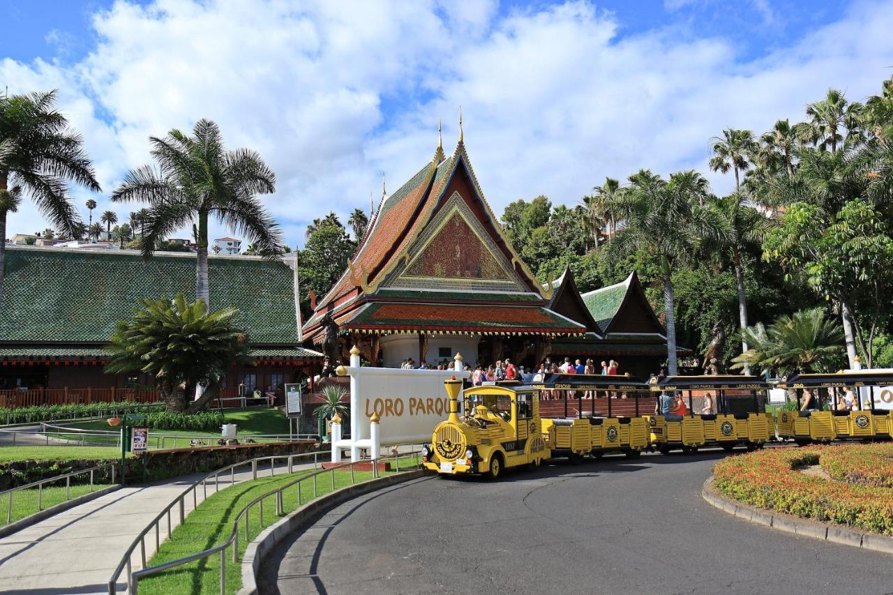 דירות פוארטו דה לה קרוז Jardines Del Teide מראה חיצוני תמונה